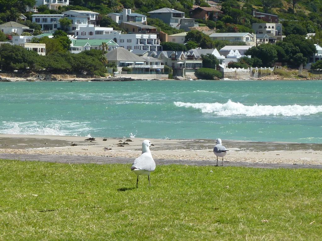 Cap Ou Pas Cap Guesthouse Gordonʼs Bay Exteriör bild